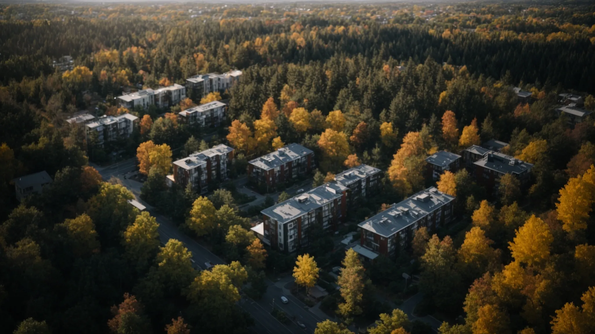 a vibrant urban landscape showcasing a diverse range of coniferous trees lining a modern residential area, emphasizing the balance between nature and development influenced by regulatory frameworks.